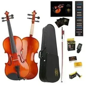 Full Size 4/4 Violin Set for Adults Beginners Students with Hard Case, Violin Bow, Shoulder Rest, Rosin, Extra Strings and Sordine