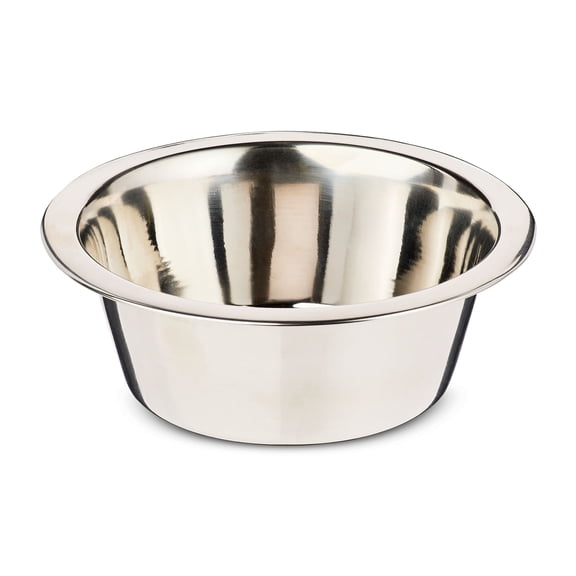 Vibrant Life Small 3.4-Cup Stainless Steel Pet Bowl, Silver